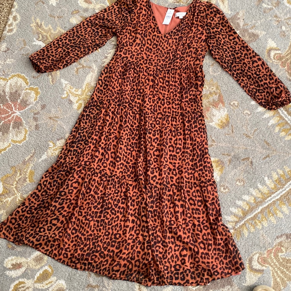LOFT dress size 6. Leopard print- long sleeve tiered design.